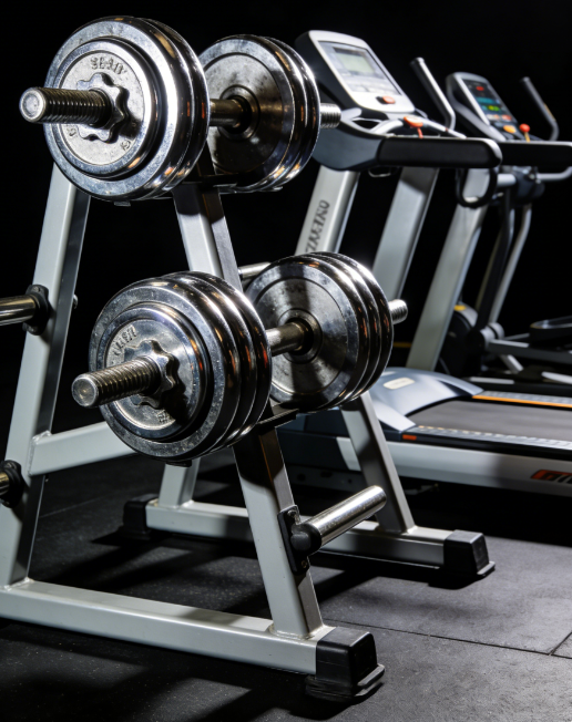 Commercial Fitness Equipment Wholesale