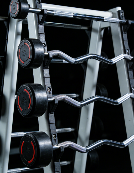 Wholesale Fitness Equipment Supply